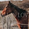 5 Fall in Love Lightroom Presets | Mobile + Desktop