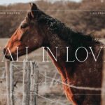 5 Fall in Love Lightroom Presets | Mobile + Desktop