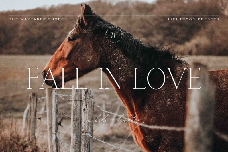 5 Fall in Love Lightroom Presets | Mobile + Desktop