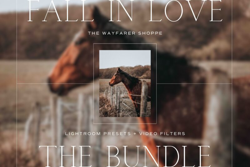 Fall In Love Lightroom Presets + Video Filters Bundle