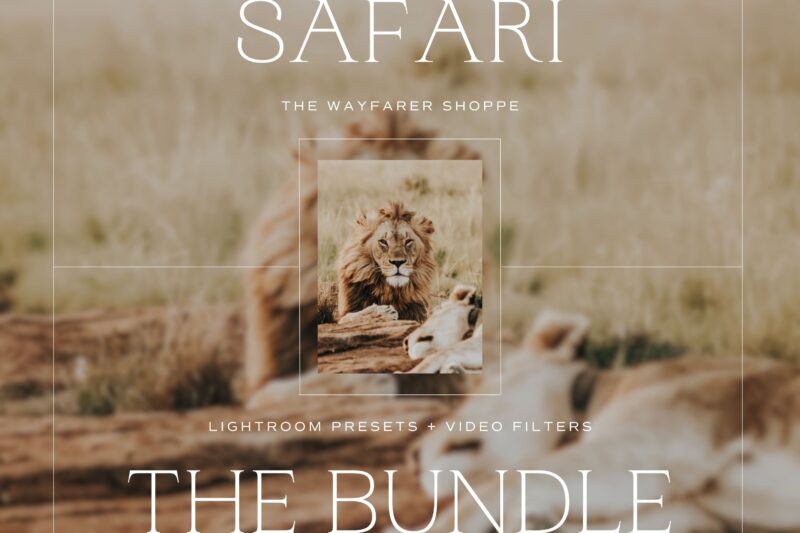 Safari Lightroom Presets + Video Filters Bundle