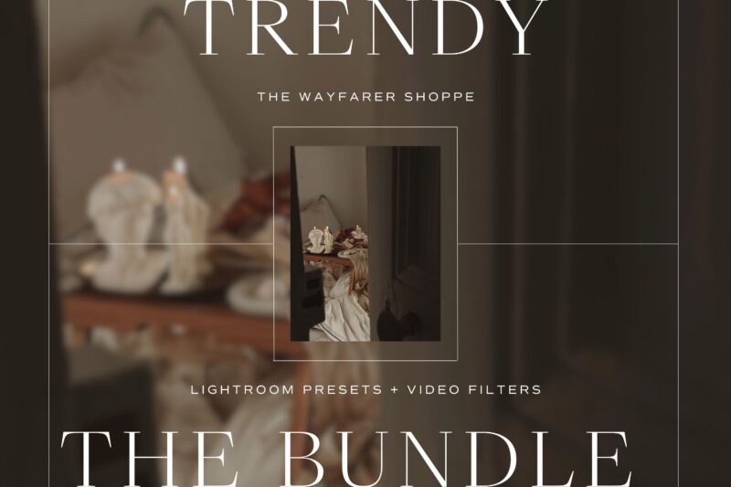 Trendy Lightroom Presets + Video Filters Bundle