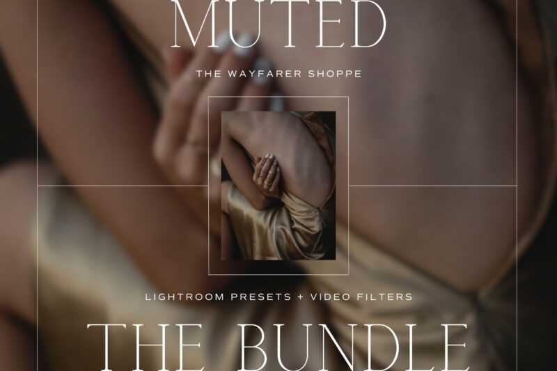 Muted Lightroom Presets + Video Filters Bundle