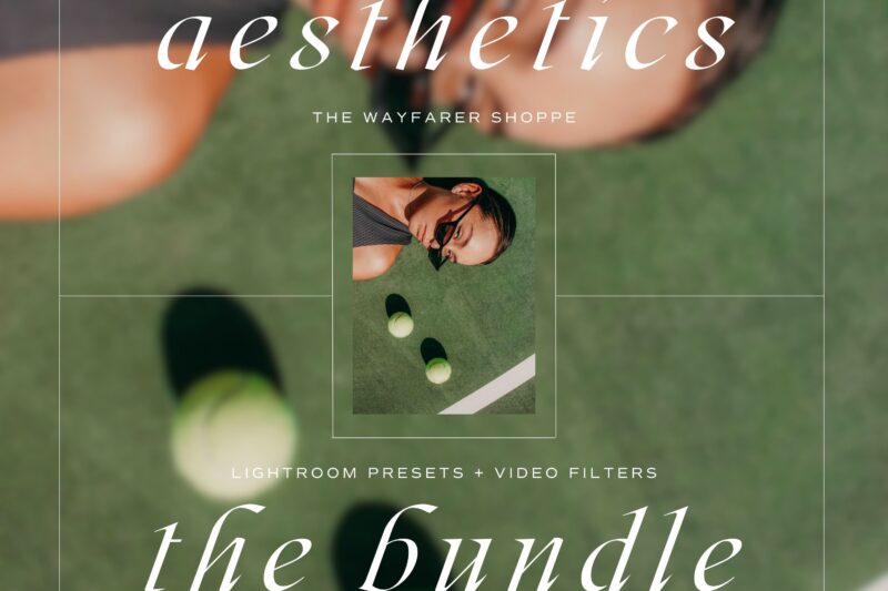 Aesthetics Lightroom Presets + Video Filters Bundle