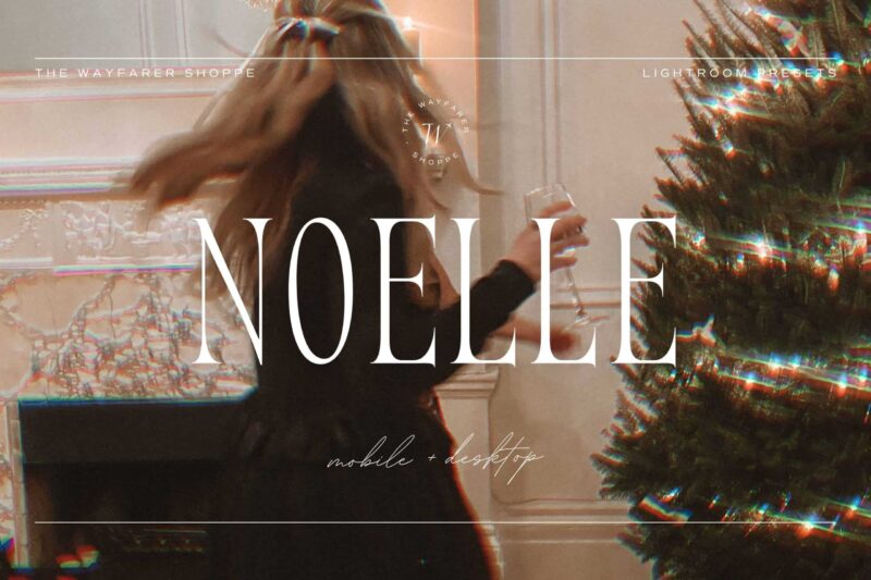 5 Noelle Lightroom Presets | Mobile + Desktop
