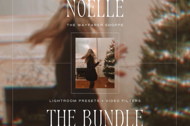 Noelle Lightroom Presets + Video Filters Bundle